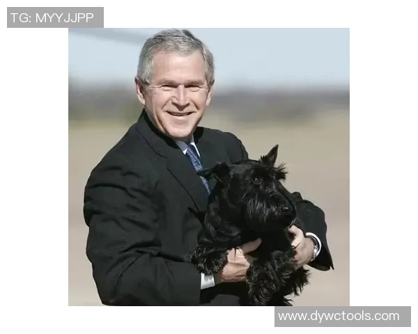 足球球星最宠爱的爱犬排名第一揭晓背后的温情故事